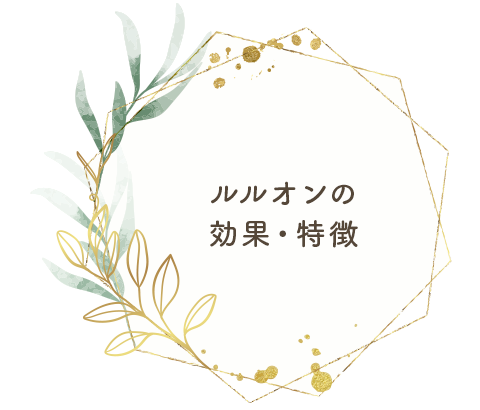 bnrhalf_features_bg